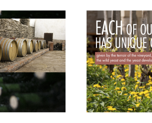 Design reklamní brožury Vinných sklepů Kutná Hora